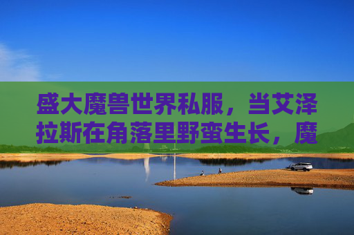 盛大魔兽世界私服，当艾泽拉斯在角落里野蛮生长，魔兽私服，角落野蛮生长的艾泽拉斯