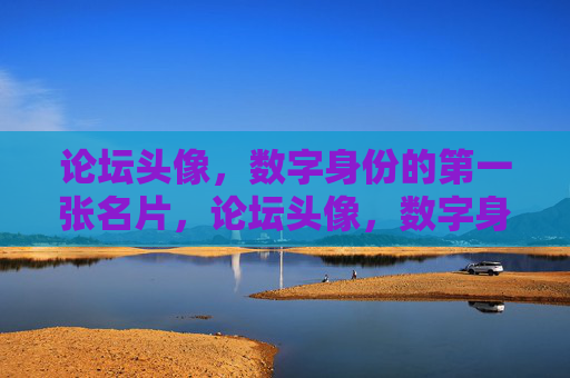 论坛头像,数字身份的第一张名片,论坛头像,数字身份的第一张名片