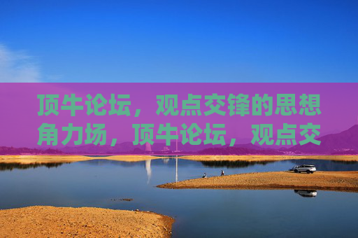 顶牛论坛,观点交锋的思想角力场,顶牛论坛,观点交锋的思想角力场