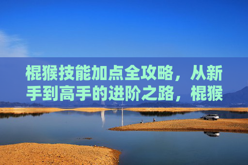 棍猴技能加点全攻略，从新手到高手的进阶之路，棍猴技能加点全攻略，新手到高手的进阶之路