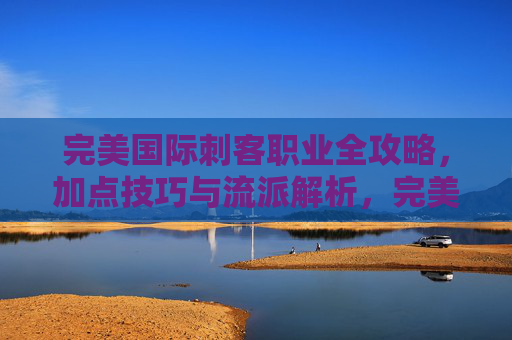 完美国际刺客职业全攻略,加点技巧与流派解析,完美国际刺客职业全攻略,加点技巧与流派解析
