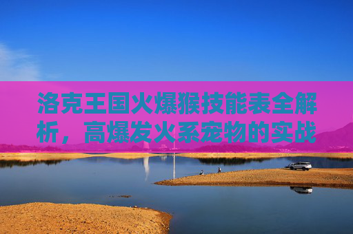 洛克王国火爆猴技能表全解析,高爆发火系宠物的实战搭配指南,洛克王国火爆猴,高爆发火系技能表与实战搭配全解析