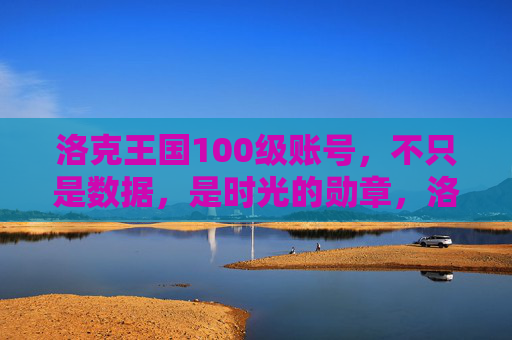 洛克王国100级账号,不只是数据,是时光的勋章,洛克王国100级账号,时光的勋章
