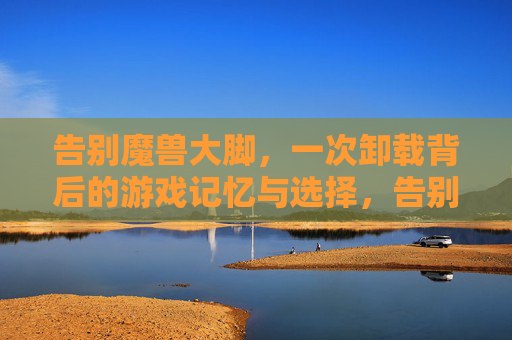 告别魔兽大脚，一次卸载背后的游戏记忆与选择，告别魔兽大脚，卸载背后的记忆与选择