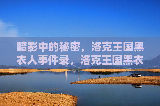 暗影中的秘密,洛克王国黑衣人事件录,洛克王国黑衣人事件,暗影中的秘密