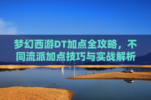 梦幻西游DT加点全攻略，不同流派加点技巧与实战解析，梦幻西游DT加点全攻略，不同流派技巧与实战解析