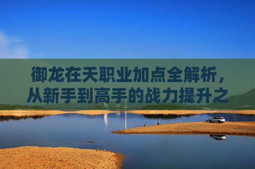 御龙在天职业加点全解析,从新手到高手的战力提升之路,御龙在天职业加点全解析,从新手到高手的战力提升之路