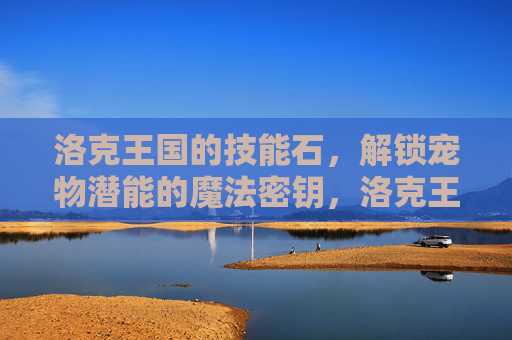 洛克王国的技能石,解锁宠物潜能的魔法密钥,洛克王国技能石,解锁宠物潜能的魔法密钥