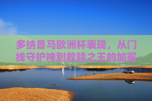 多纳鲁马欧洲杯表现，从门线守护神到救赎之王的加冕，多纳鲁马欧洲杯，从门线守护神到救赎王加冕