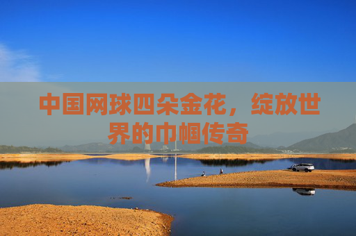 中国网球四朵金花,绽放世界的巾帼传奇