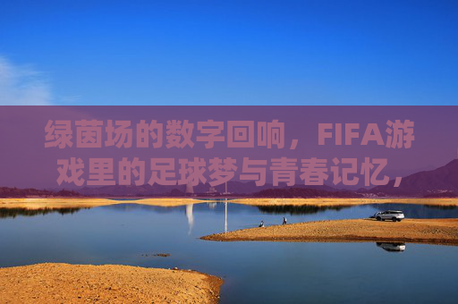 绿茵场的数字回响，FIFA游戏里的足球梦与青春记忆，绿茵数字回响，FIFA游戏里的足球梦与青春