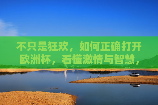 不只是狂欢,如何正确打开欧洲杯,看懂激情与智慧,如何正确打开欧洲杯,不止狂欢,看懂激情与智慧