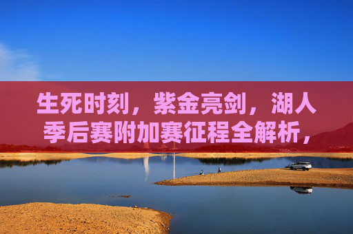 生死时刻,紫金亮剑,湖人季后赛附加赛征程全解析,生死时刻紫金亮剑,湖人附加赛征程全解析