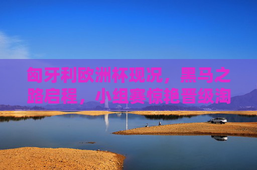 匈牙利欧洲杯现况，黑马之路启程，小组赛惊艳晋级淘汰赛，匈牙利欧洲杯黑马之路启程，小组赛惊艳晋级淘汰赛