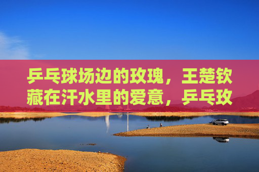 乒乓球场边的玫瑰,王楚钦藏在汗水里的爱意,乒乓玫瑰,汗藏爱意