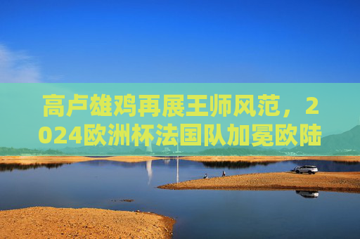 高卢雄鸡再展王师风范，2024欧洲杯法国队加冕欧陆之巅，2024欧洲杯高卢雄鸡加冕欧陆之巅