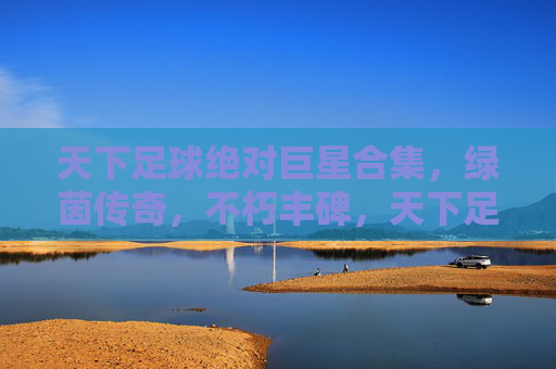 天下足球绝对巨星合集,绿茵传奇,不朽丰碑,天下足球绝对巨星,绿茵不朽丰碑