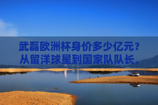 武磊欧洲杯身价多少亿元？从留洋球星到国家队队长，身价变迁背后的足球逻辑，武磊欧洲杯身价，从留洋球星到队长的足球逻辑变迁