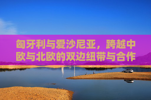 匈牙利与爱沙尼亚,跨越中欧与北欧的双边纽带与合作展望,匈牙利与爱沙尼亚,中欧北欧的双边纽带与合作展望