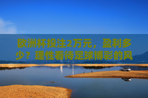 欧洲杯投注2万元,盈利多少?理性看待足球博彩的风险与机遇,欧洲杯投注2万元盈利几何?理性看待足球博彩风险与机遇