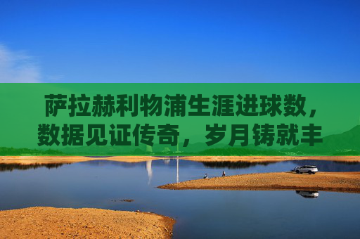 萨拉赫利物浦生涯进球数，数据见证传奇，岁月铸就丰碑，萨拉赫利物浦生涯进球数，数据见证传奇，岁月铸就丰碑