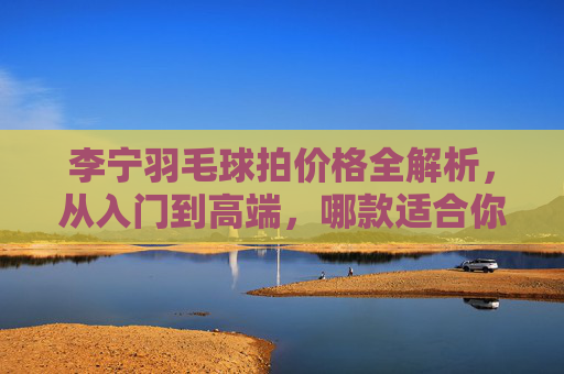 李宁羽毛球拍价格全解析，从入门到高端，哪款适合你？李宁羽毛球拍价格全解析，从入门到高端，哪款适合你？