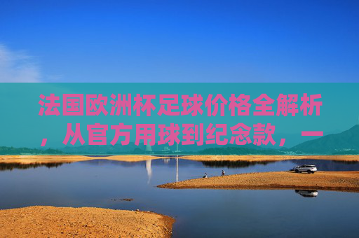 法国欧洲杯足球价格全解析，从官方用球到纪念款，一文看懂花费，法国欧洲杯足球价格全解析，从官方用球到纪念款