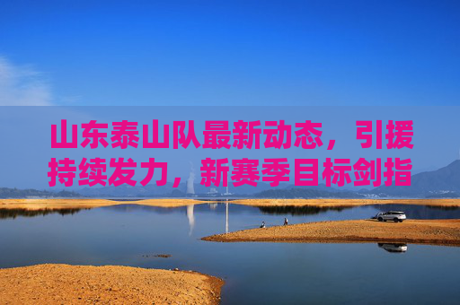 山东泰山队最新动态,引援持续发力,新赛季目标剑指冠军