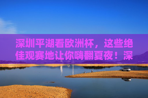 深圳平湖看欧洲杯，这些绝佳观赛地让你嗨翻夏夜！深圳平湖欧洲杯观赛地，嗨翻夏夜的绝佳选择