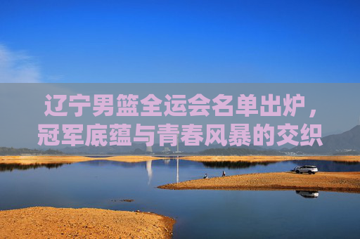 辽宁男篮全运会名单出炉，冠军底蕴与青春风暴的交织，辽宁男篮全运会名单，冠军底蕴交织青春风暴