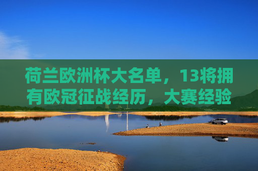 荷兰欧洲杯大名单，13将拥有欧冠征战经历，大赛经验成球队底气，荷兰欧洲杯13将欧冠征途 大赛经验成球队底气