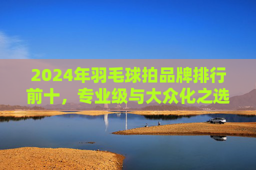2024年羽毛球拍品牌排行前十,专业级与大众化之选,助你提升赛场表现,2024年羽毛球拍品牌排行前十,专业级与大众化之选,助你提升赛场表现
