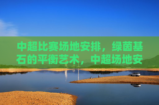 中超比赛场地安排,绿茵基石的平衡艺术,中超场地安排,绿茵基石的平衡艺术