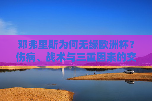 邓弗里斯为何无缘欧洲杯？伤病、战术与三重因素的交织，邓弗里斯无缘欧洲杯，伤病、战术与多重因素交织