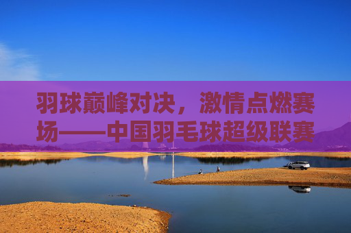 羽球巅峰对决,激情点燃赛场——中国羽毛球超级联赛的荣耀与传承,羽球巅峰对决,荣耀传承燃情赛场——中国羽毛球超级联赛