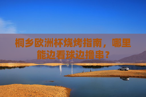 桐乡欧洲杯烧烤指南,哪里能边看球边撸串?