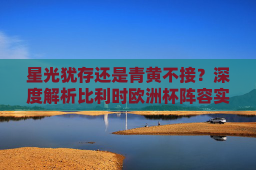 星光犹存还是青黄不接?深度解析比利时欧洲杯阵容实力与前景,比利时欧洲杯阵容实力与前景,星光犹存还是青黄不接?