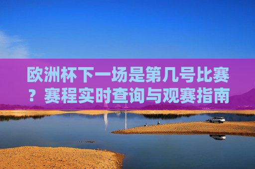 欧洲杯下一场是第几号比赛？赛程实时查询与观赛指南，欧洲杯下一场赛程实时查询与观赛指南