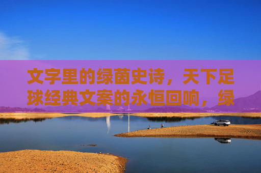 文字里的绿茵史诗，天下足球经典文案的永恒回响，绿茵史诗，天下足球经典文案的永恒回响