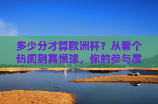 多少分才算欧洲杯?从看个热闹到真懂球,你的参与度打多少分?欧洲杯参与度,从看热闹到真懂球,你打几分?