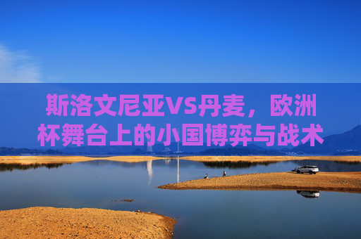 斯洛文尼亚VS丹麦,欧洲杯舞台上的小国博弈与战术碰撞,欧洲杯小国博弈,斯洛文尼亚VS丹麦的战术碰撞