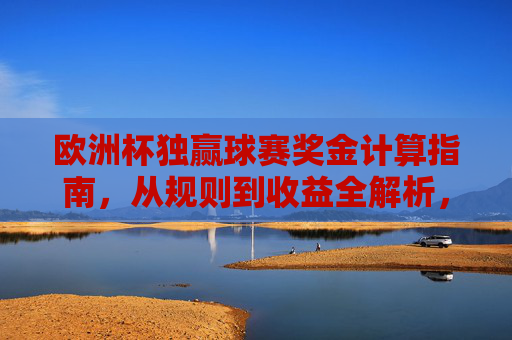 欧洲杯独赢球赛奖金计算指南，从规则到收益全解析，欧洲杯独赢球赛奖金计算指南，规则与收益全解析