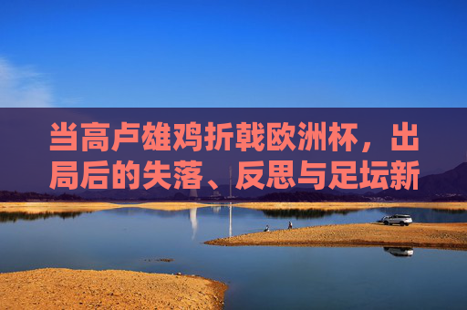 当高卢雄鸡折戟欧洲杯,出局后的失落、反思与足坛新变局,高卢雄鸡欧洲杯折戟,失落、反思与足坛新变局