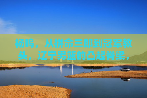 杨鸣,从拼命三郎到冠军教头,辽宁男篮的凸起脊梁,从拼命三郎到冠军教头,杨鸣,辽宁男篮的凸起脊梁