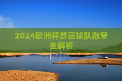 2024欧洲杯参赛球队数量全解析