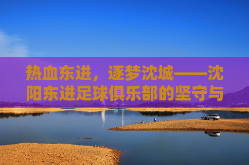 热血东进,逐梦沈城——沈阳东进足球俱乐部的坚守与传承,热血东进逐梦沈城,沈阳东进足球俱乐部的坚守与传承