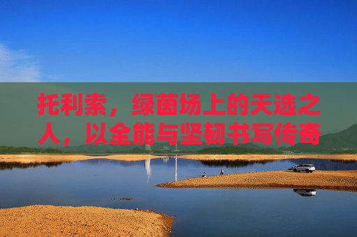 托利索，绿茵场上的天选之人，以全能与坚韧书写传奇，托利索，绿茵天选，全能铸就传奇