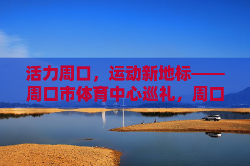 活力周口,运动新地标——周口市体育中心巡礼,周口市体育中心,活力周口的运动新地标