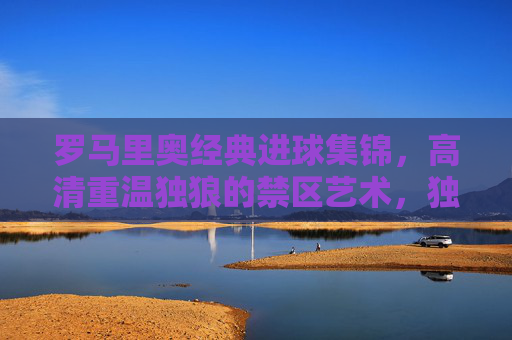 罗马里奥经典进球集锦,高清重温独狼的禁区艺术,独狼禁区艺术,罗马里奥经典进球高清集锦