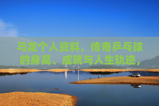 马龙个人资料，传奇乒乓球的身高、成就与人生轨迹，马龙，传奇乒乓球的身高、成就与人生轨迹